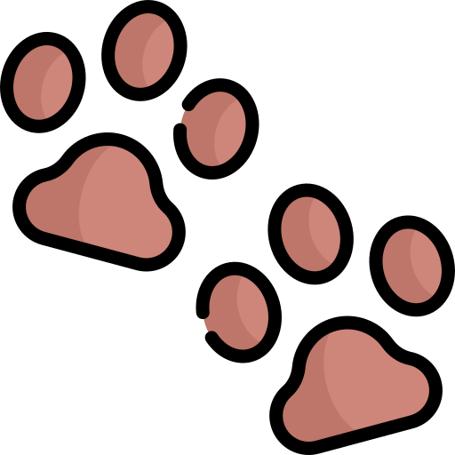 Paw